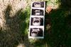 brooke-balentine-dvxx3YxocW8-unsplash