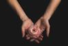 matthew-henry-p-ppCccUZiU-unsplash