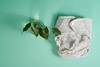 pp44_Nov2024_MotherOfDaughters_ecological-diapers-are-a-twig-with-leaves-on-a-lig-2023-11-27-04-56-34-utc