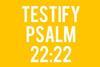Testify