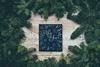 annie-spratt-Ef1H5YTTmZ8-unsplash