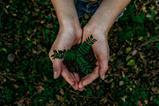 noah-buscher-x8ZStukS2PM-unsplash