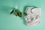 pp44_Nov2024_MotherOfDaughters_ecological-diapers-are-a-twig-with-leaves-on-a-lig-2023-11-27-04-56-34-utc