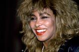Tina Turner Alamy
