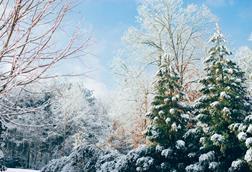 ian-schneider-dqMxDqdhg_4-unsplash