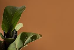 pp28_May2026_SpiritualFormation