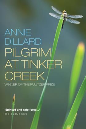 pp43_May2026_BookClub_Pilgrim at tinker creek