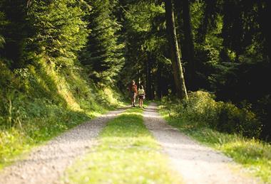 nicolas-picard--sBCDFctfQs-unsplash