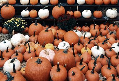 jon-tyson-DwQVcudRcS8-unsplash