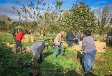 Community garden 3