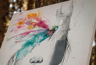 amir-shiri-CWLg9GhtxiA-unsplash