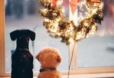 laura-beth-snipes-PlUJM2sPwis-unsplash