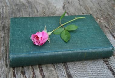 kamala-bright-TVxdY1r5Gs0-unsplash