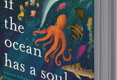 pp25_July2025_BookClub_BookMockup-IfTheOceanHasASoul