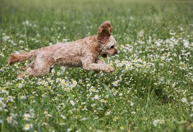 pp32-33_Feb2026_LetterToTheNextGen