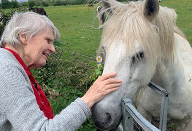 pp16_May2025_LifeLessons