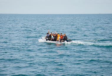 refugee