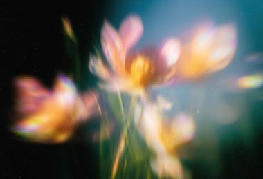 pp38_May2026_HealthWise