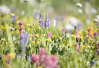 pp64_March2026_Signs&Wonders