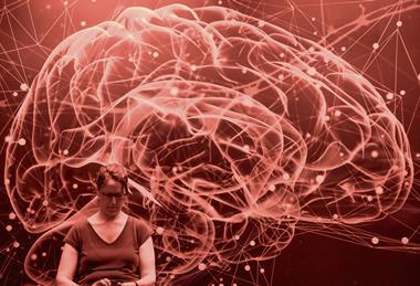 brain