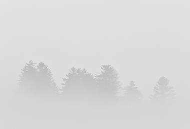 pp46-47_Jan2023_Testimonies_dave-hoefler-L-xWerq6SS4-unsplash