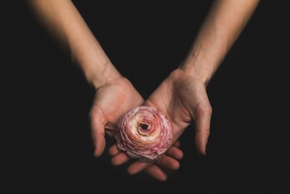 matthew-henry-p-ppCccUZiU-unsplash