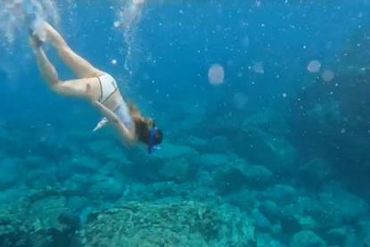 Lucy snorkeling