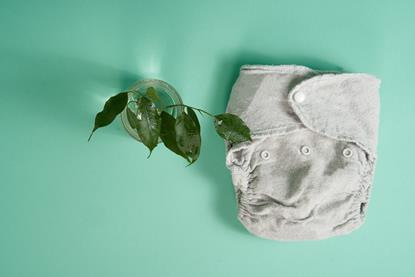 pp44_Nov2024_MotherOfDaughters_ecological-diapers-are-a-twig-with-leaves-on-a-lig-2023-11-27-04-56-34-utc