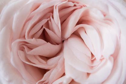 poppie-pack-jAVlGc_mUW4-unsplash