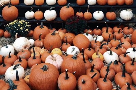 jon-tyson-DwQVcudRcS8-unsplash