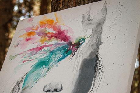 amir-shiri-CWLg9GhtxiA-unsplash