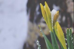 March2022_ReflectionandPrayer
