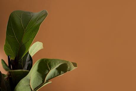 pp28_May2026_SpiritualFormation