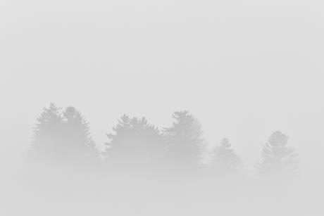 pp46-47_Jan2023_Testimonies_dave-hoefler-L-xWerq6SS4-unsplash