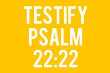 Testify