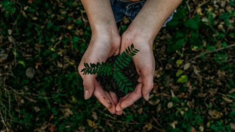 noah-buscher-x8ZStukS2PM-unsplash