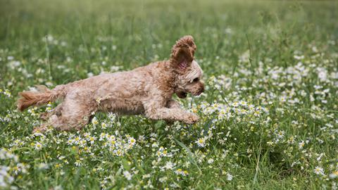 pp32-33_Feb2026_LetterToTheNextGen