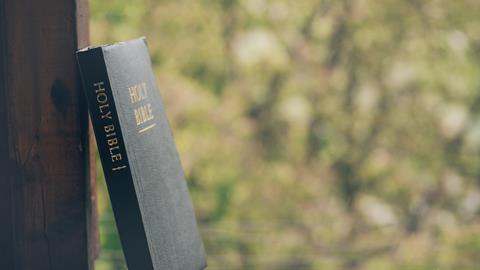 pp51_Aug2024_BibleStudy