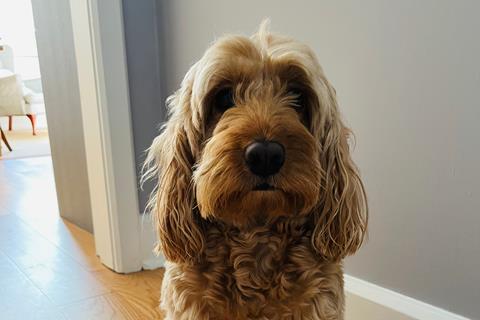 pp32_Feb2026_LetterToTheNextGen