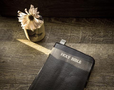 pp23_April2022_BibleStudy_Alamy.