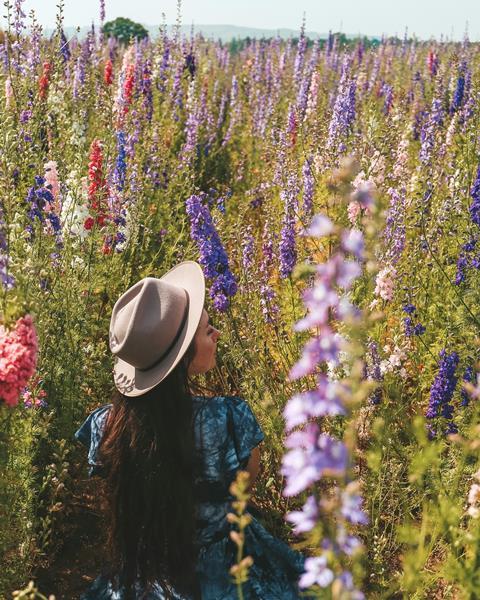 roxxie-blackham-gRVOxh_hzJ4-unsplash