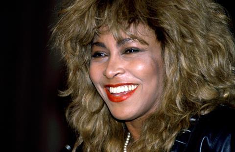 Tina Turner Alamy